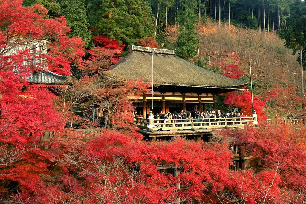 Zen Kyoto Kinkaku-Ji Temple Villa Kültér fotó